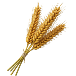 Grains