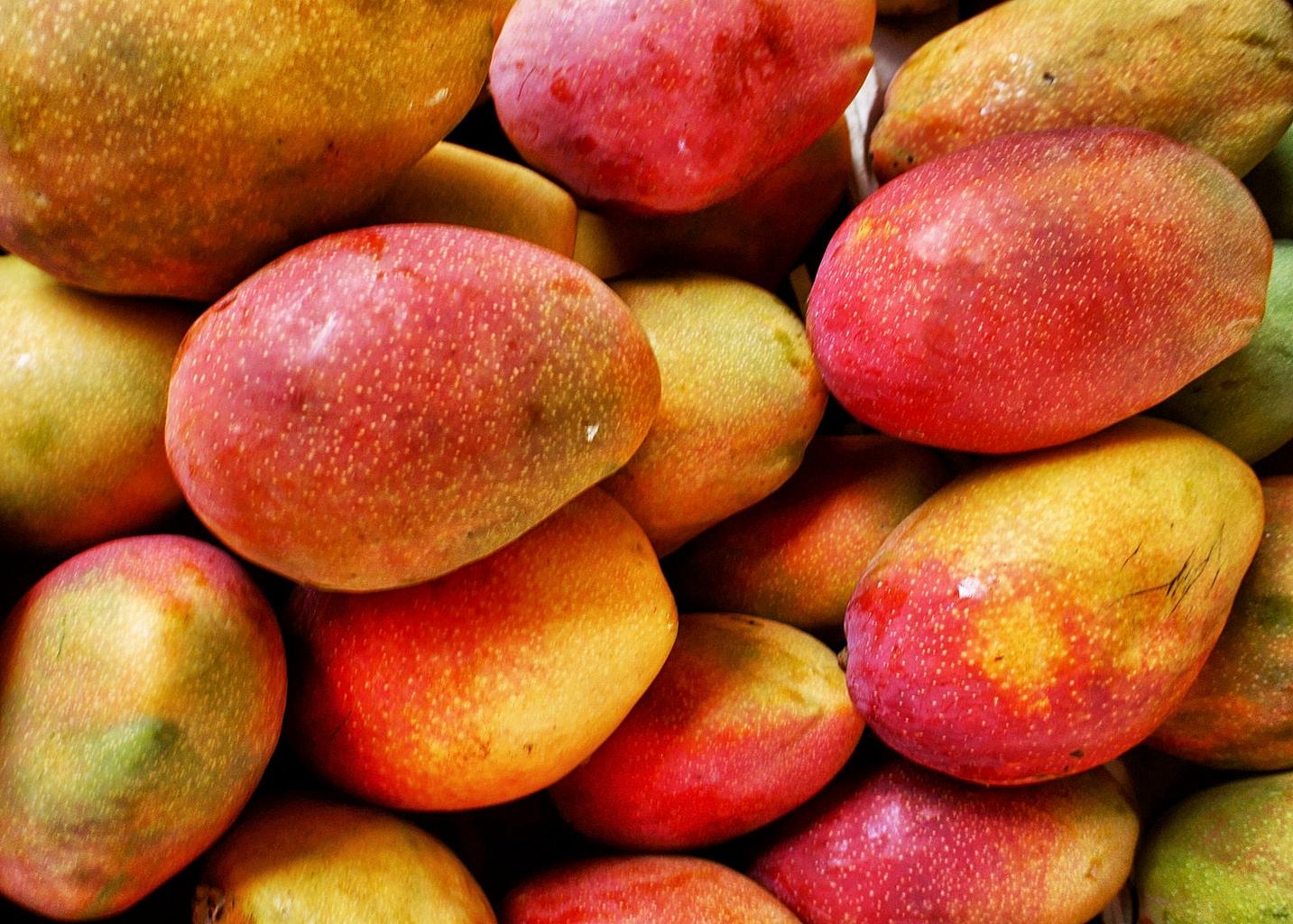 Which fruit is this?